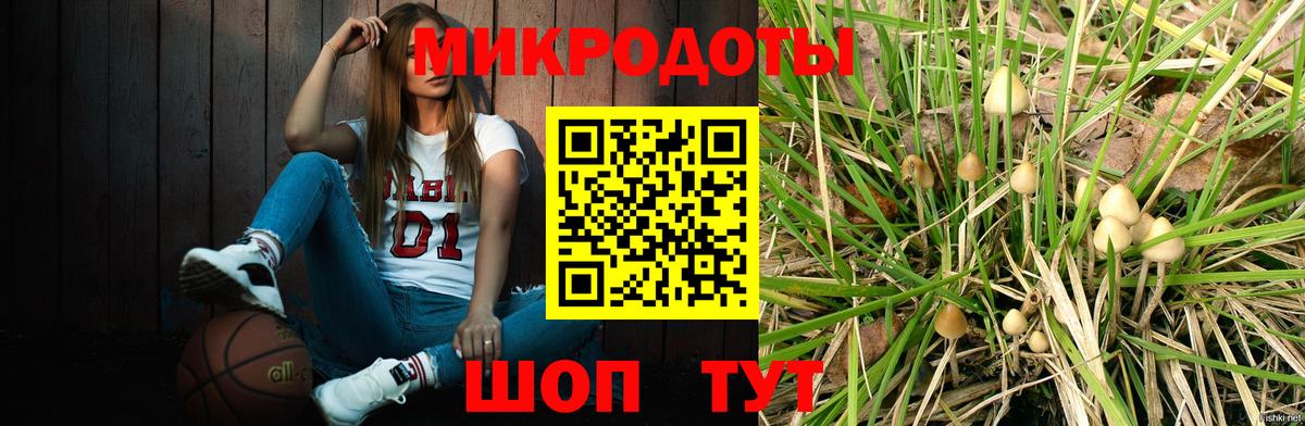 Галлюциногенные грибы GOLDEN TEACHER  Псилоцибиновые грибы мухоморы  Углич  Вход с VPN 